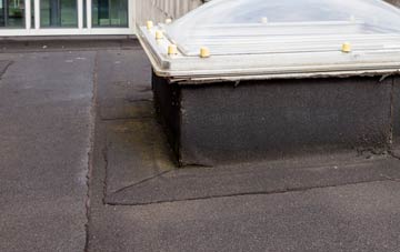 disadvantages of Widmore flat roofs