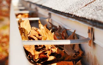 Widmore gutter cleaning companies