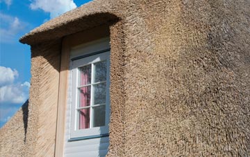 Widmore thatch roof disadvantages