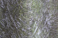 Widmore fibreglass roof work